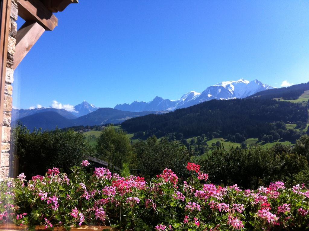 Chalet Eternel Mont-Blanc メジェーヴ エクステリア 写真