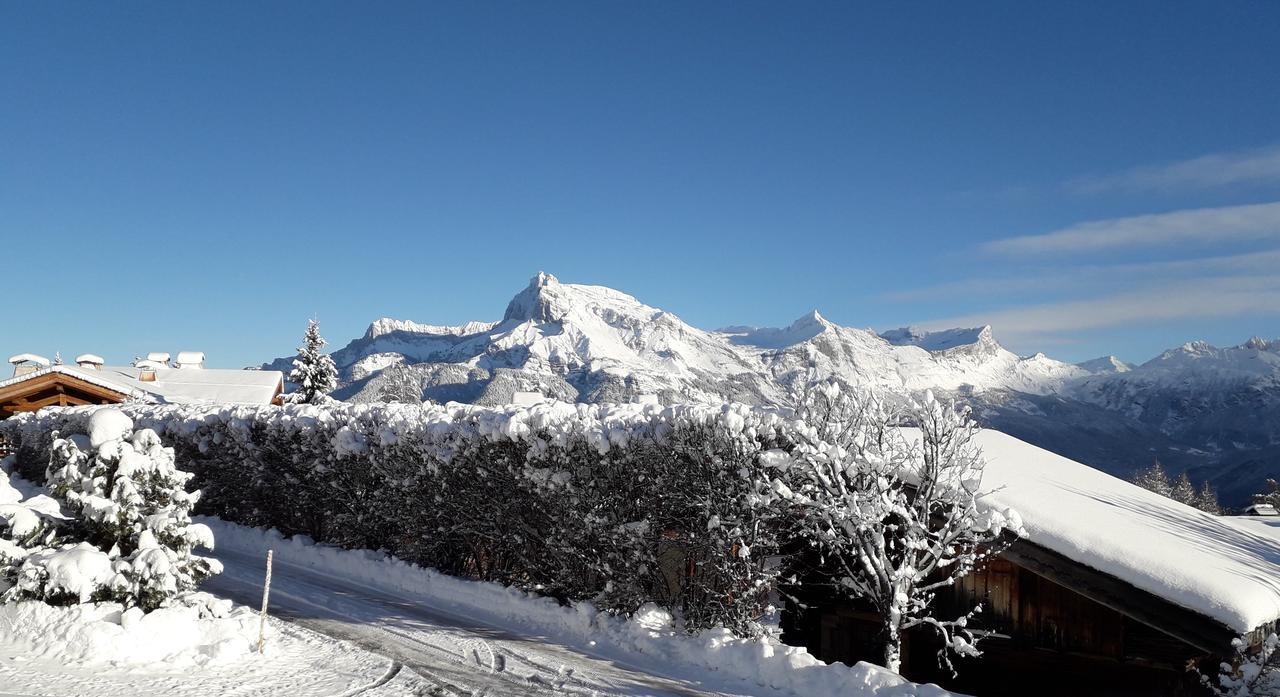 Chalet Eternel Mont-Blanc メジェーヴ エクステリア 写真