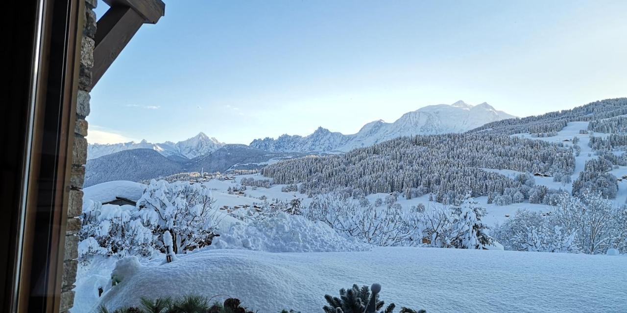 Chalet Eternel Mont-Blanc メジェーヴ エクステリア 写真